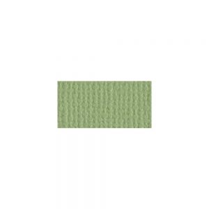 Bazzill Mono Cardstock 12″X12″ Pear