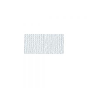 Bazzill Mono Cardstock 12″X12″ Powder Blue