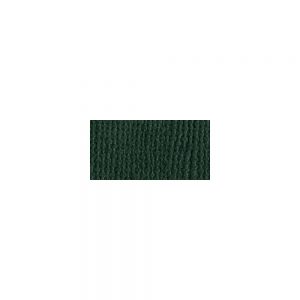 Bazzil mono Cardstock 12″x12″ Tremble (aspen)
