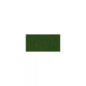 Lierre (Ivy)
