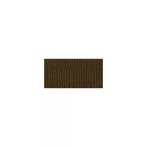 Bazzill Mono Cardstock 12″X12″ Pinecone