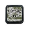 Forest moss