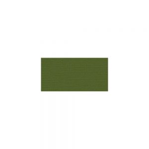 Bazzill Mono Cardstock 12″X12″ Nixon