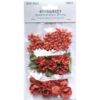 TOMATO -ROYAL POSIES