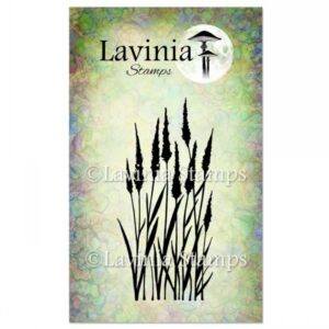 MEADOW GRASS