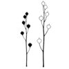 SEED HEADS