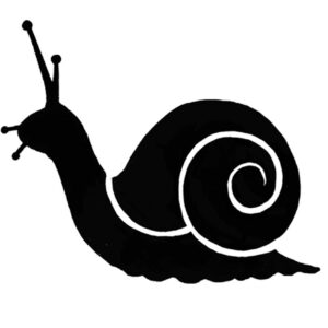 Snail mini