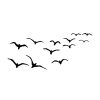 BIRDS