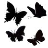 BUTTERFLIES