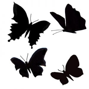 BUTTERFLIES