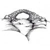 FAIRY BRIDGE