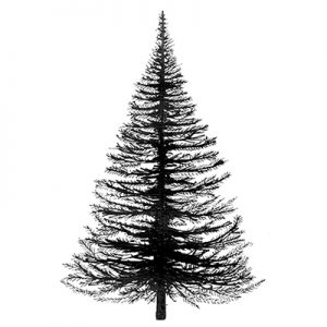 FIR TREE