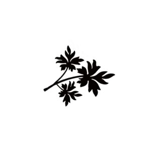 Leaf 1 mini