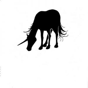 UNICORN 2