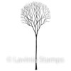 SKELETON TREE