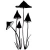 SLENDER  MUSHROOM  MINI