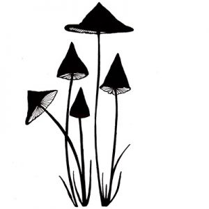 SLENDER MUSHROOM MINI