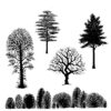 TREE SCENE