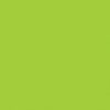 Island parrot