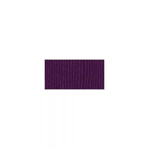 Bazzill Mono Cardstock 12″x12″ Velvet