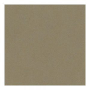 Bazzill Heavyweight Cardstock Peanut Cluster