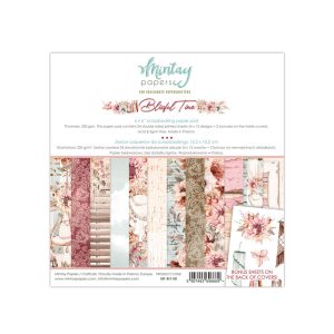 Ensemble de papier 6″x 6″
