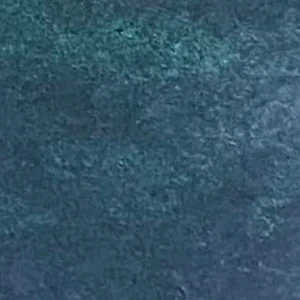 Dragonfly denim