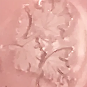 Oom pah pah pink