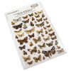 Butterflies 01