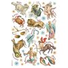 Astrological Signs, Cosmos Infinity