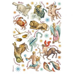 Astrological Signs, Cosmos Infinity