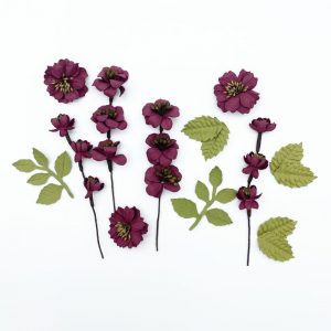Plum