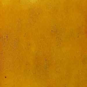 Yesteryear Yellow