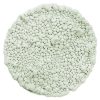 Frosty Sage