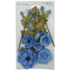 Cornflower