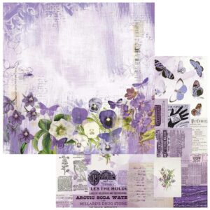 Classics-Violaceous