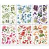 Spectrum Gardenia Botanical Rub-Ons