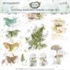 Nature Study Rub-Ons