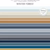 Winter Forest