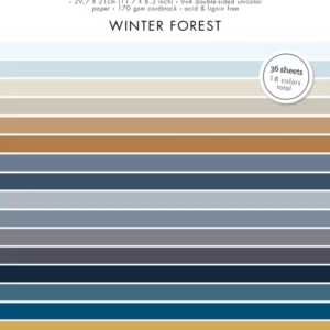 Winter Forest