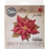 Pointsettia