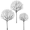 Skeleton Tree Scene