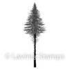 Fir Tree 2