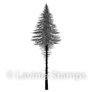 Fir Tree 2