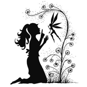 Fairy wish