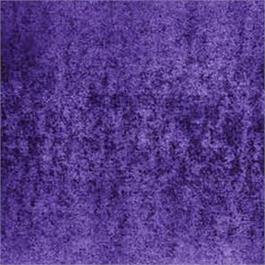 Nightshade