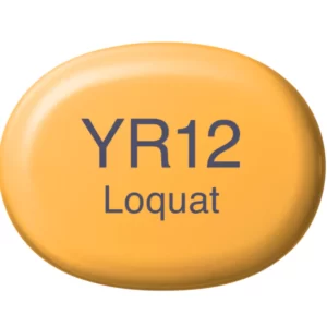 YR12 Loquat