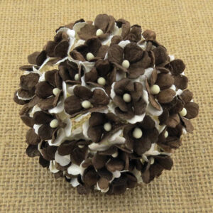 2-TONE BROWN SWEETHEART BLOSSOM  10