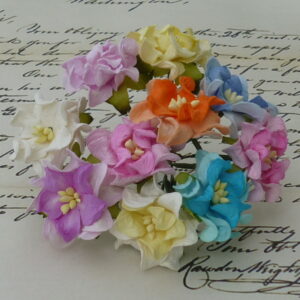 MIXED COLOUR SMALL GARDENIA FLOWERS 10