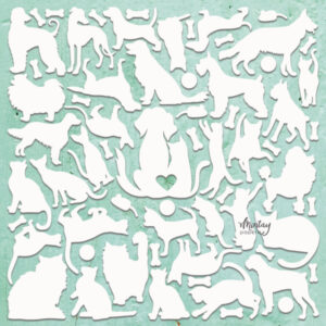 Cats and dogs